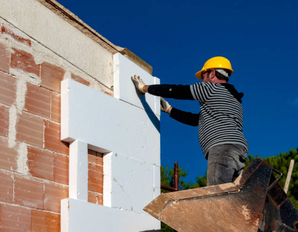Best Energy-efficient Insulation  in Minooka, IL